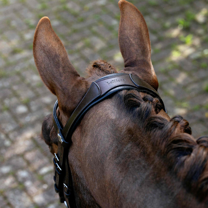 LeMieux Arika Cavesson Bridle