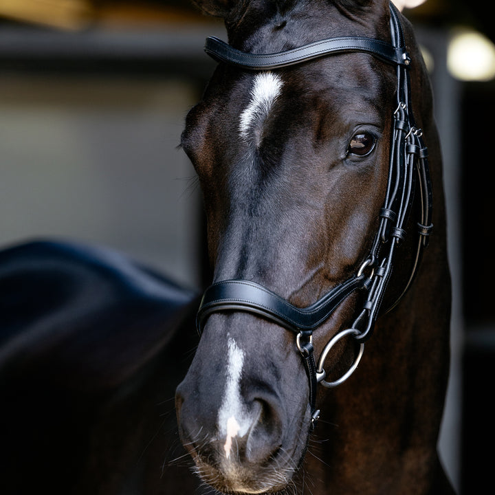 LeMieux Arika Drop Bridle