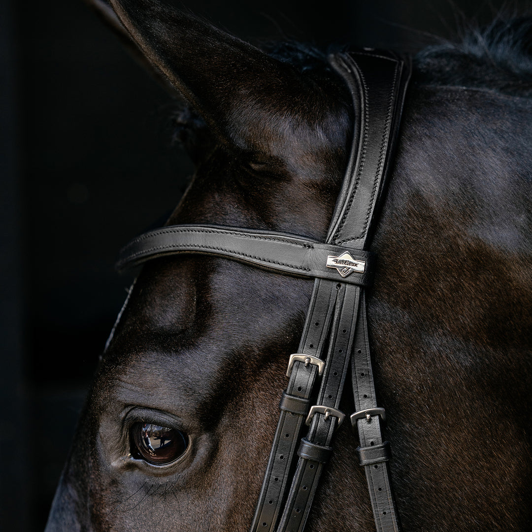 LeMieux Arika Drop Bridle