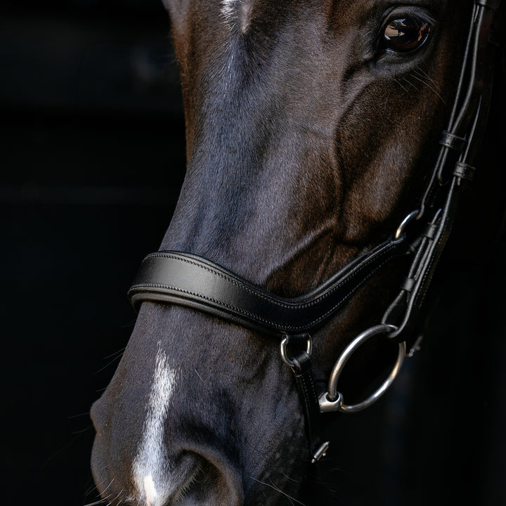 LeMieux Arika Drop Bridle