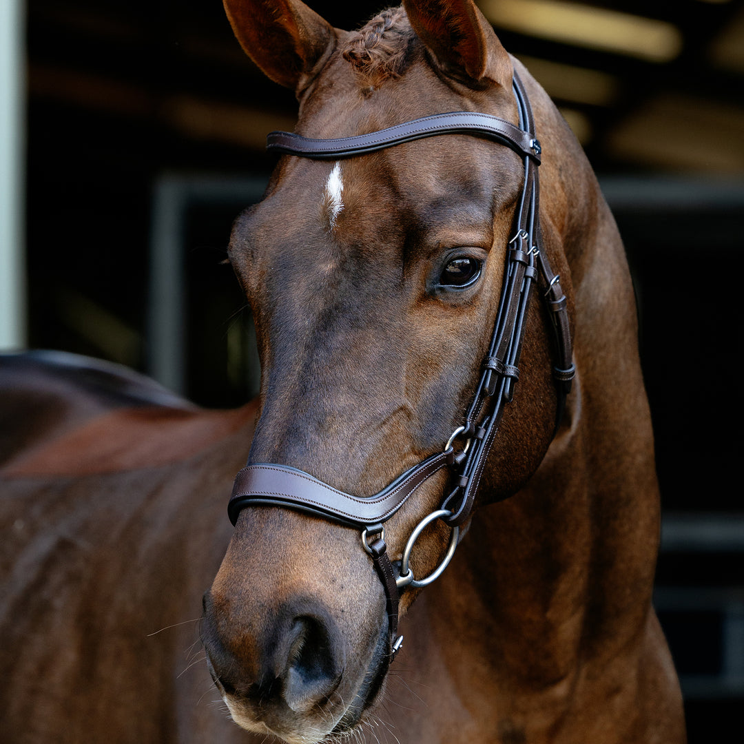 LeMieux Arika Drop Bridle