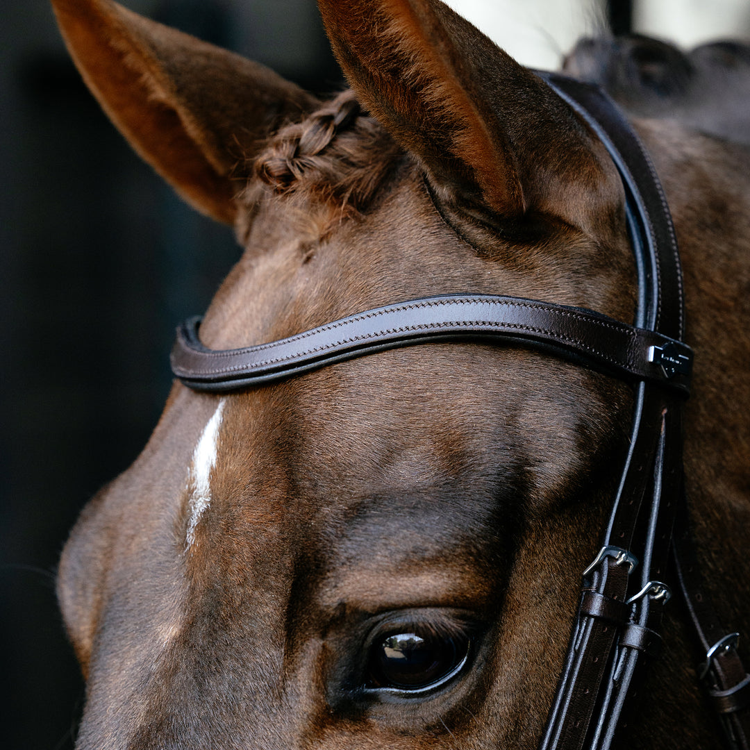 LeMieux Arika Drop Bridle