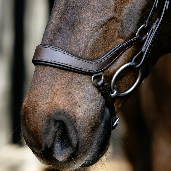 LeMieux Arika Drop Bridle