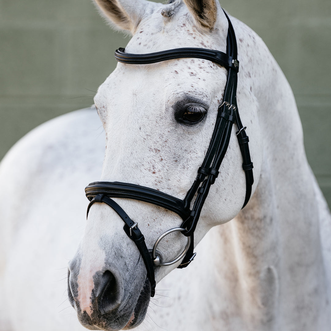 LeMieux Arika Flash Bridle