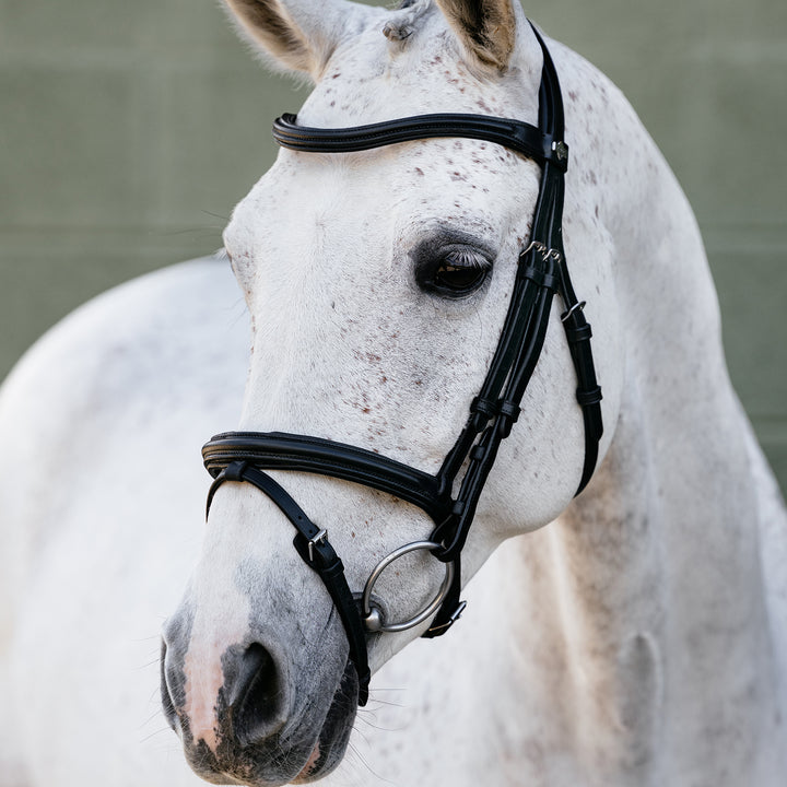 LeMieux Arika Flash Bridle