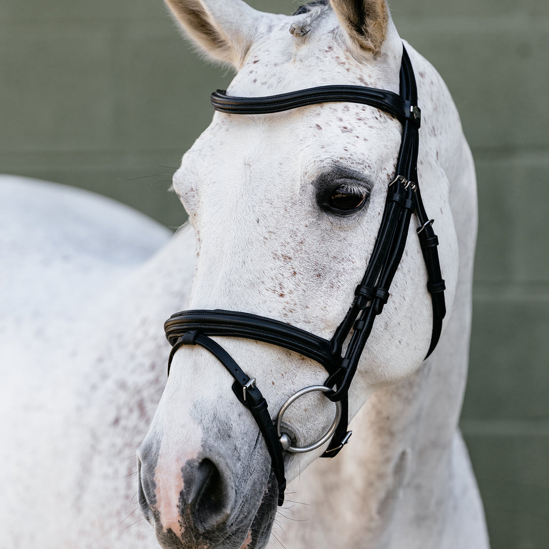 LeMieux Arika Flash Bridle