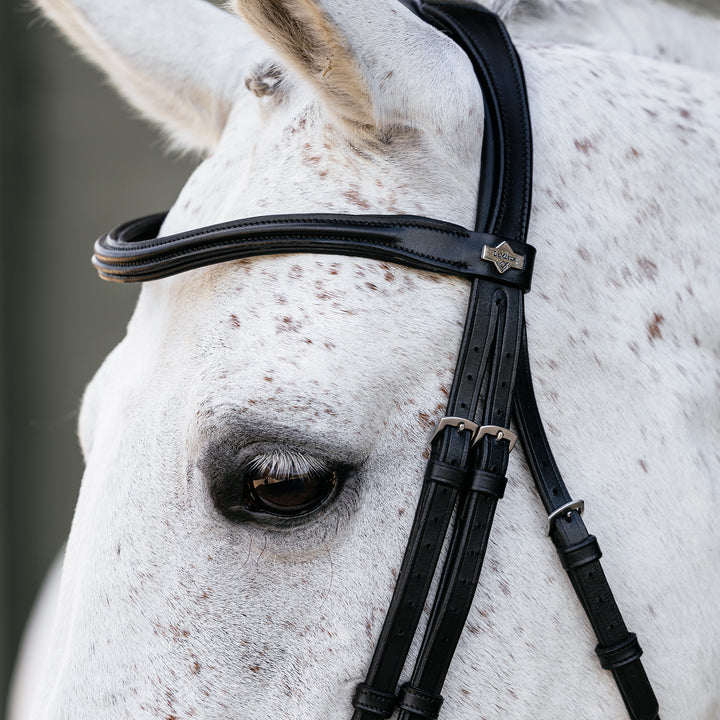 LeMieux Arika Flash Bridle