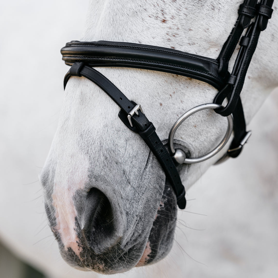 LeMieux Arika Flash Bridle