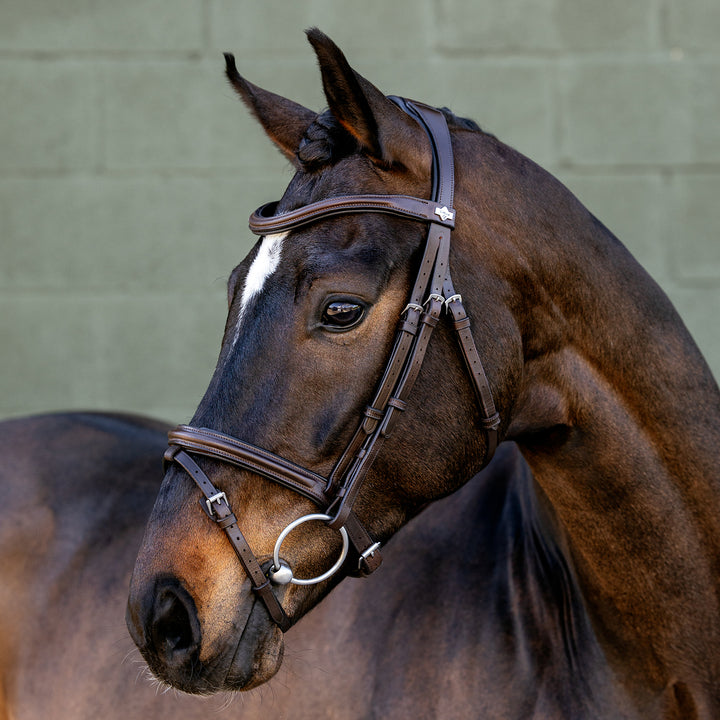 LeMieux Arika Flash Bridle