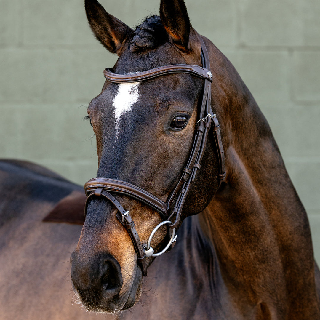 LeMieux Arika Flash Bridle