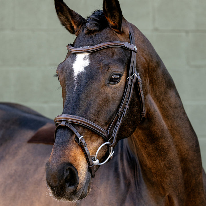 LeMieux Arika Flash Bridle