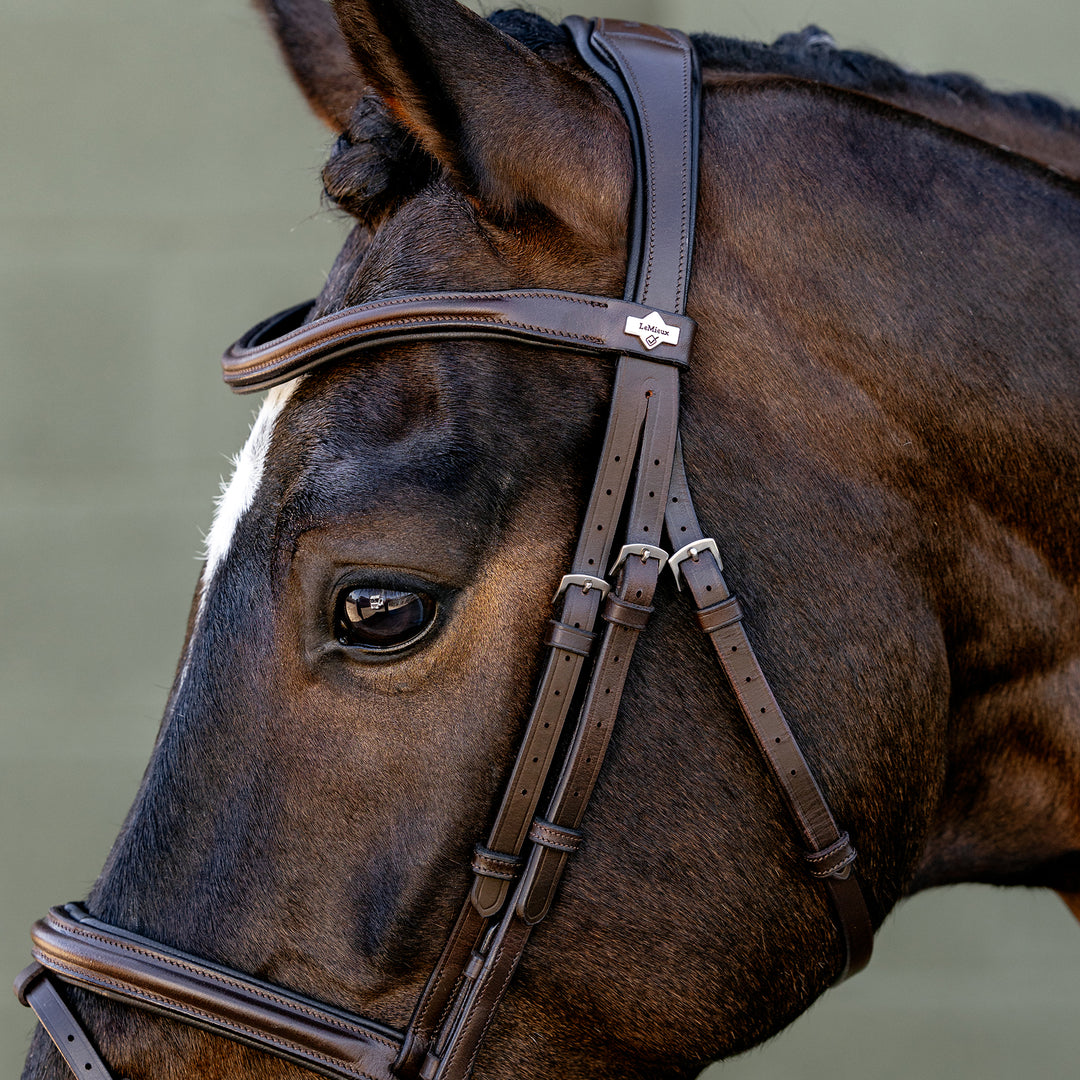 LeMieux Arika Flash Bridle