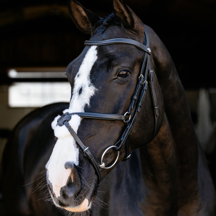 LeMieux Arika Grackle Bridle