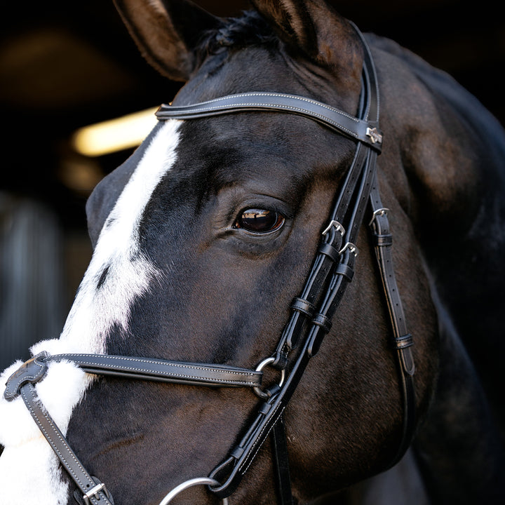 LeMieux Arika Grackle Bridle