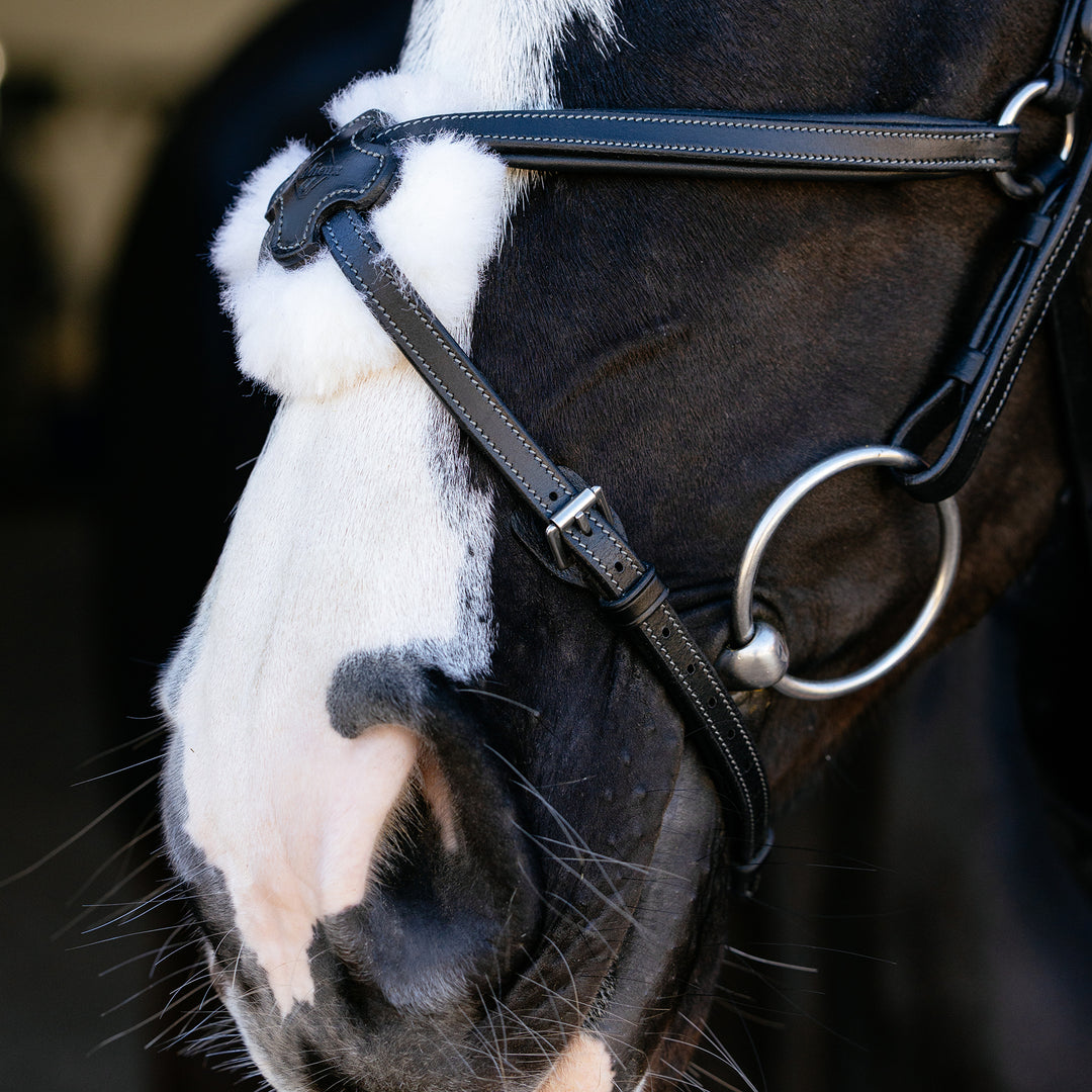LeMieux Arika Grackle Bridle