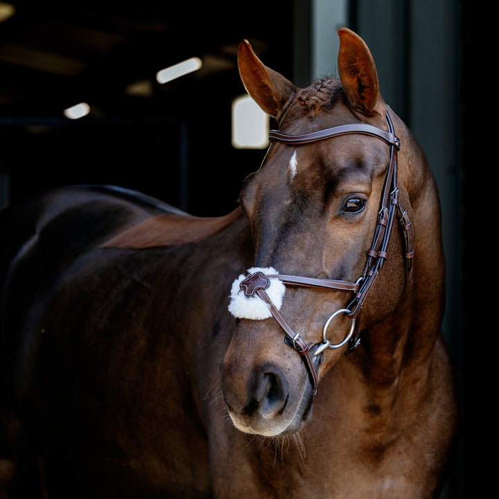 LeMieux Arika Grackle Bridle
