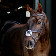 LeMieux Arika Grackle Bridle