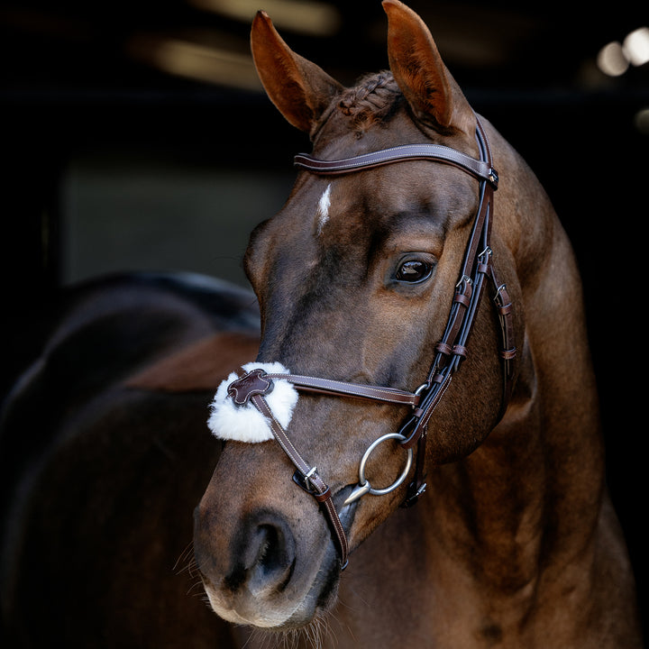 LeMieux Arika Grackle Bridle