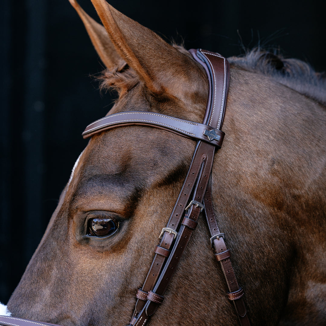 LeMieux Arika Grackle Bridle