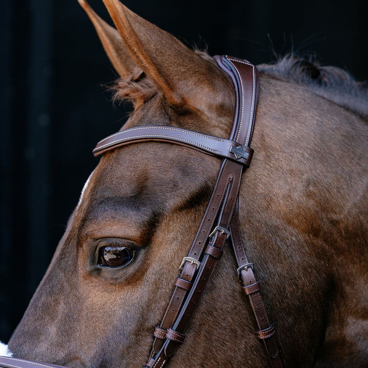 LeMieux Arika Grackle Bridle