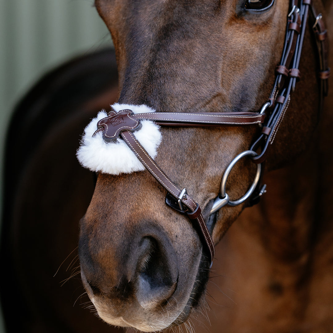 LeMieux Arika Grackle Bridle