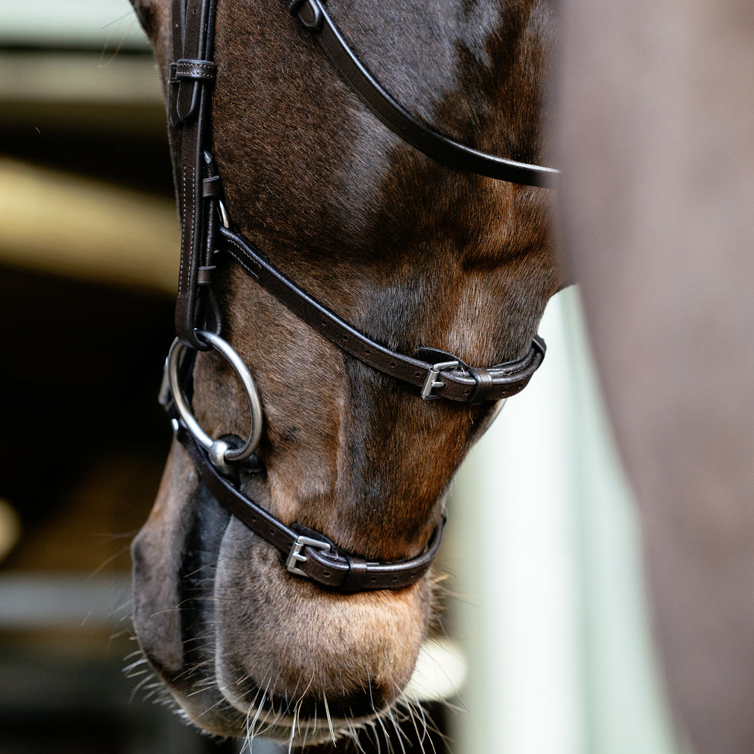 LeMieux Arika Grackle Bridle