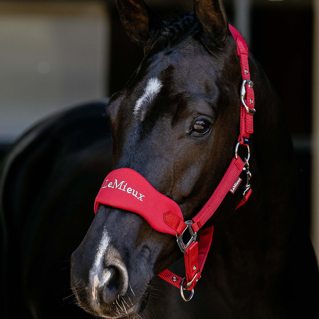 LeMieux Breakaway Vogue Headcollar