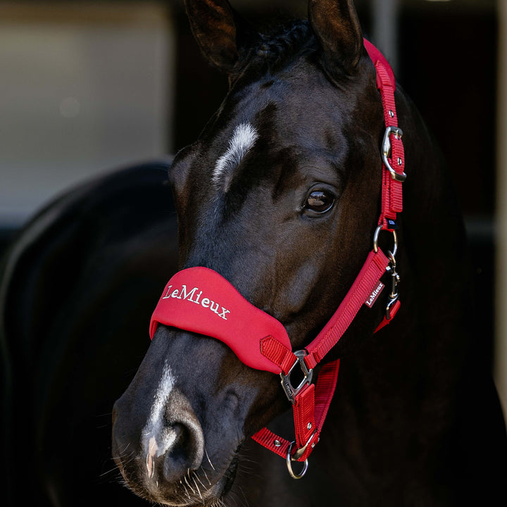 LeMieux Breakaway Vogue Headcollar