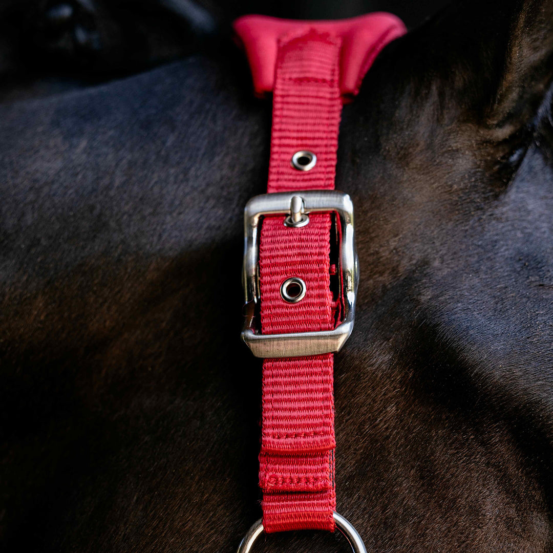 LeMieux Breakaway Vogue Headcollar