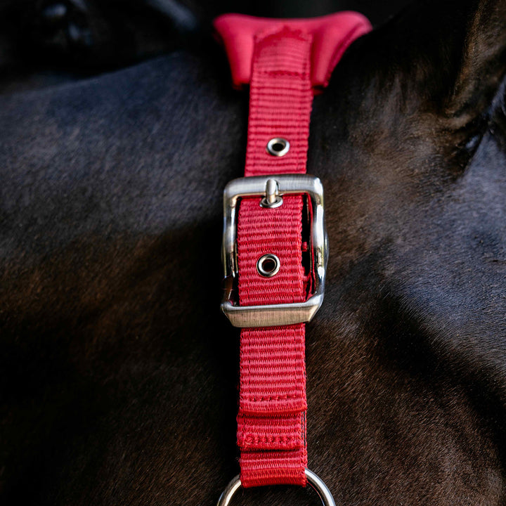 LeMieux Breakaway Vogue Headcollar