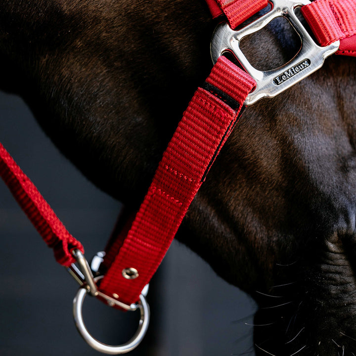 LeMieux Breakaway Vogue Headcollar