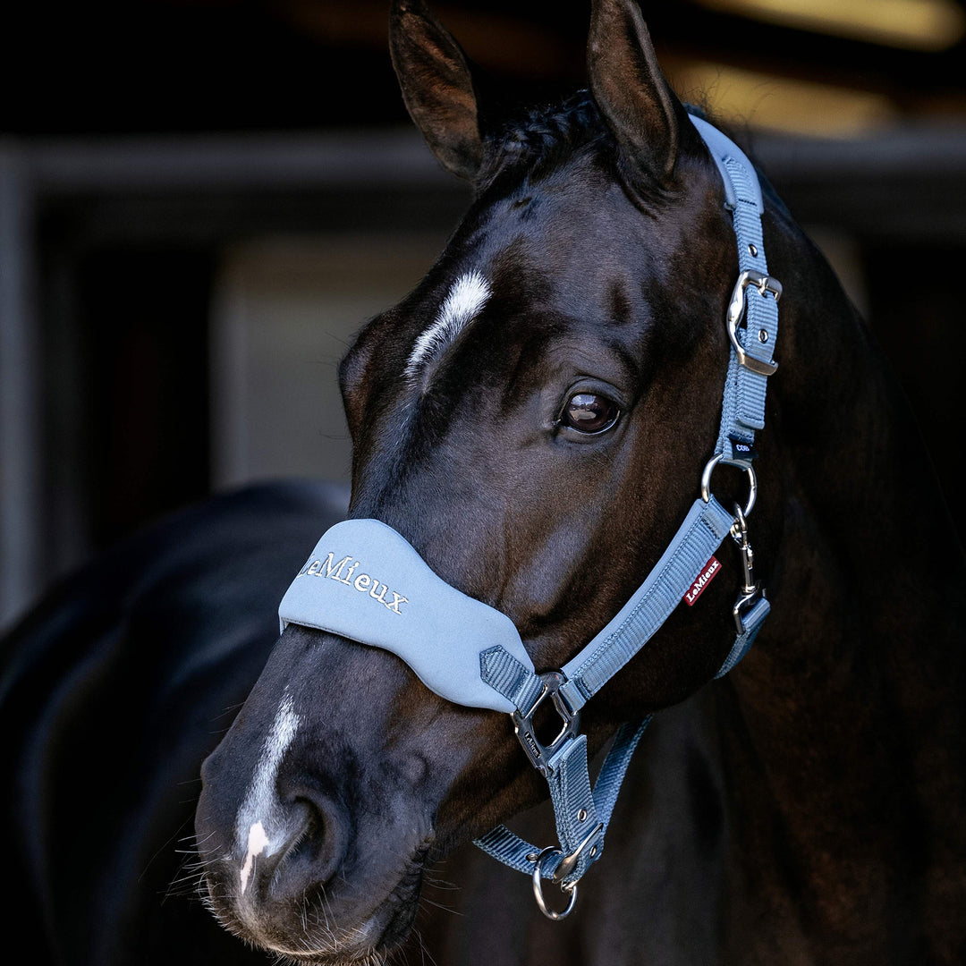 LeMieux Breakaway Vogue Headcollar