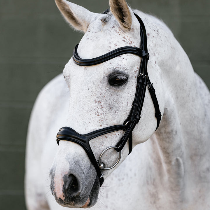 LeMieux Kudos Sport Bridle