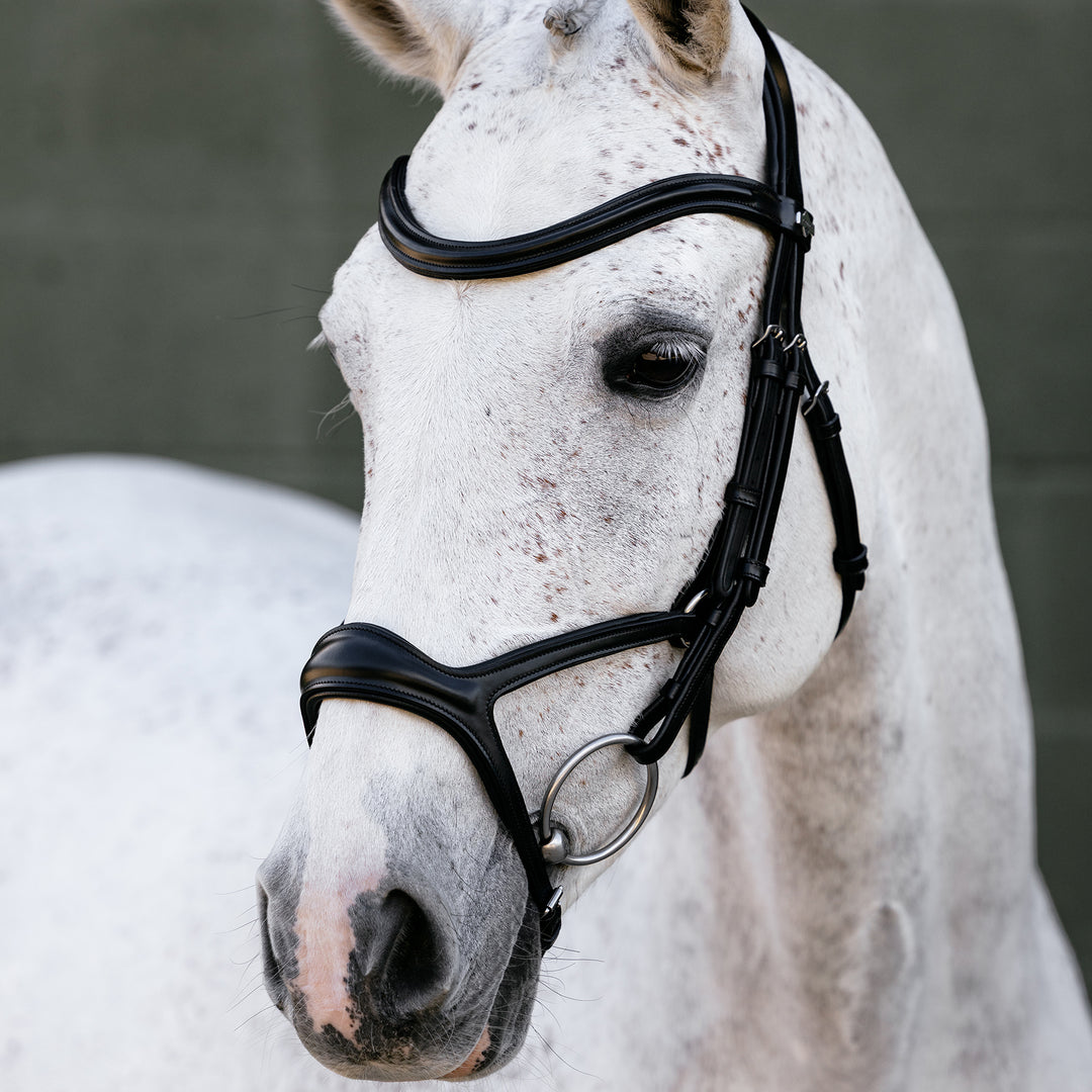 LeMieux Kudos Sport Bridle