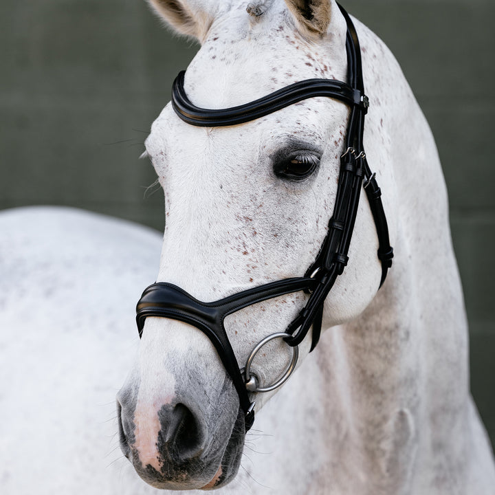 LeMieux Kudos Sport Bridle
