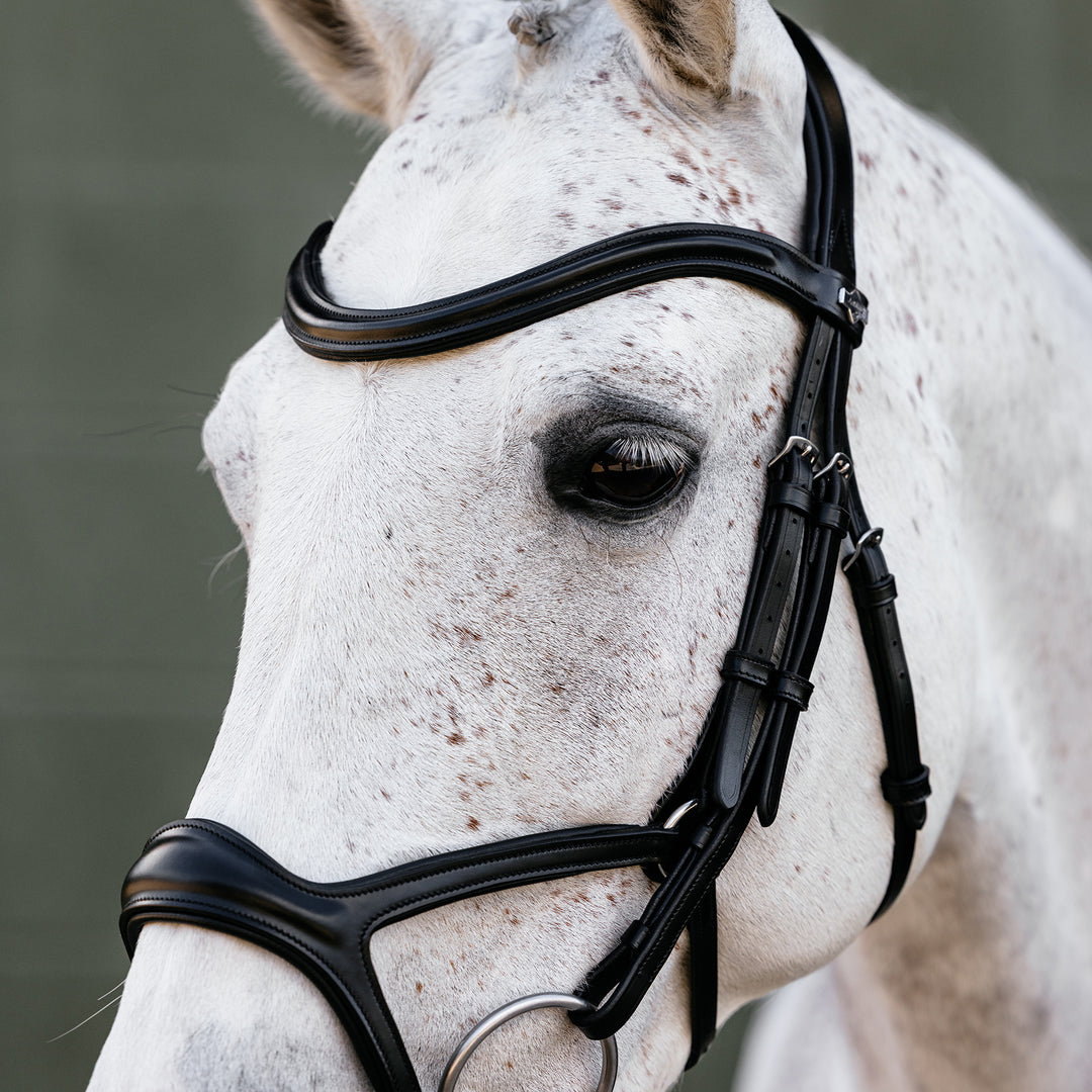 LeMieux Kudos Sport Bridle