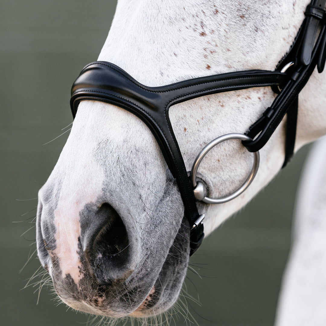 LeMieux Kudos Sport Bridle
