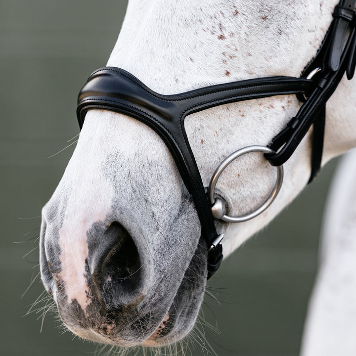 LeMieux Kudos Sport Bridle