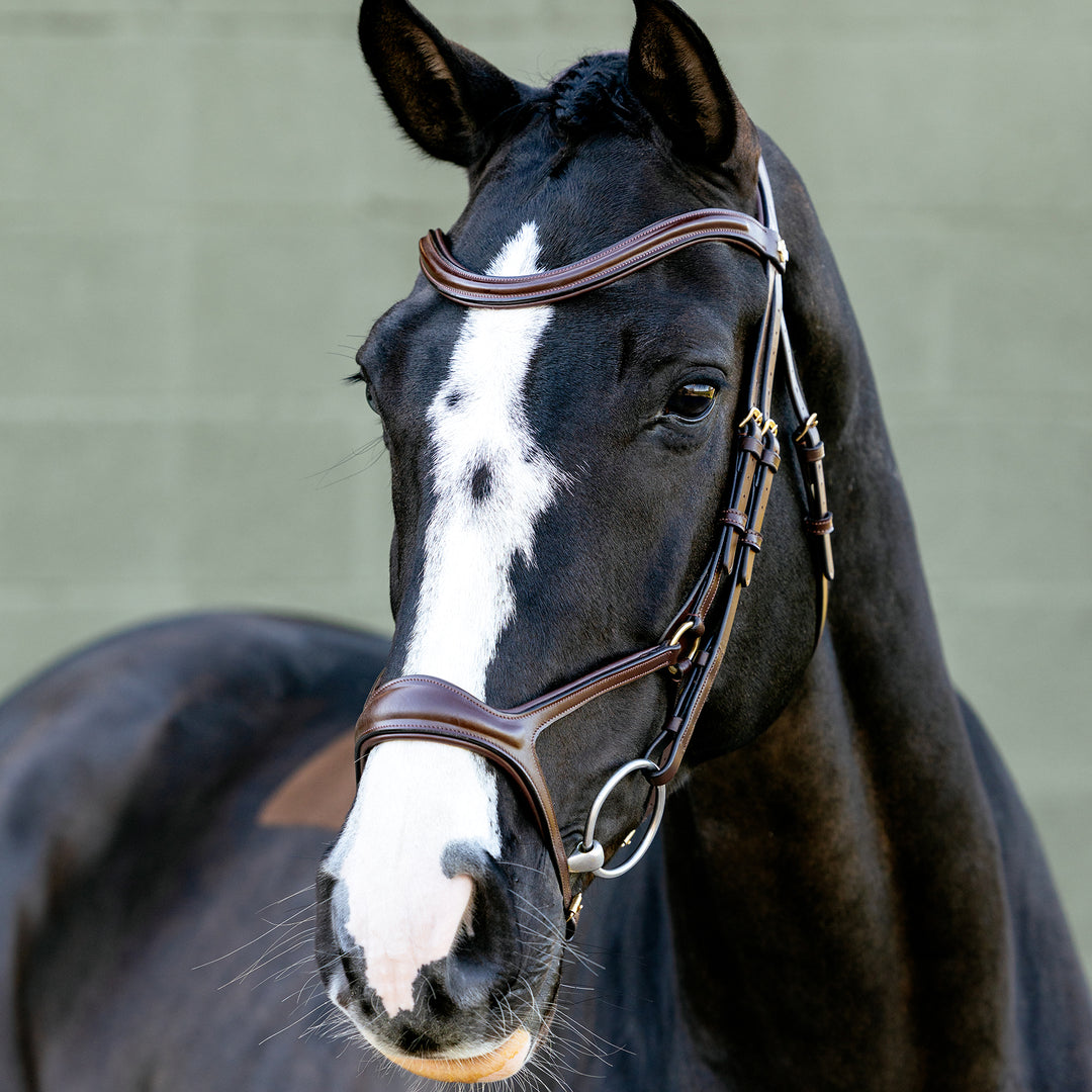 LeMieux Kudos Sport Bridle