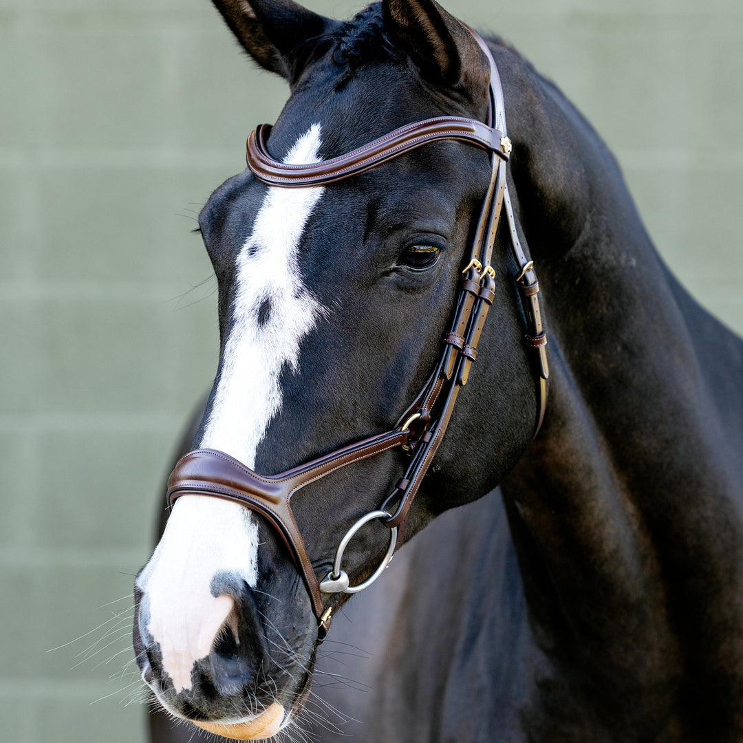 LeMieux Kudos Sport Bridle