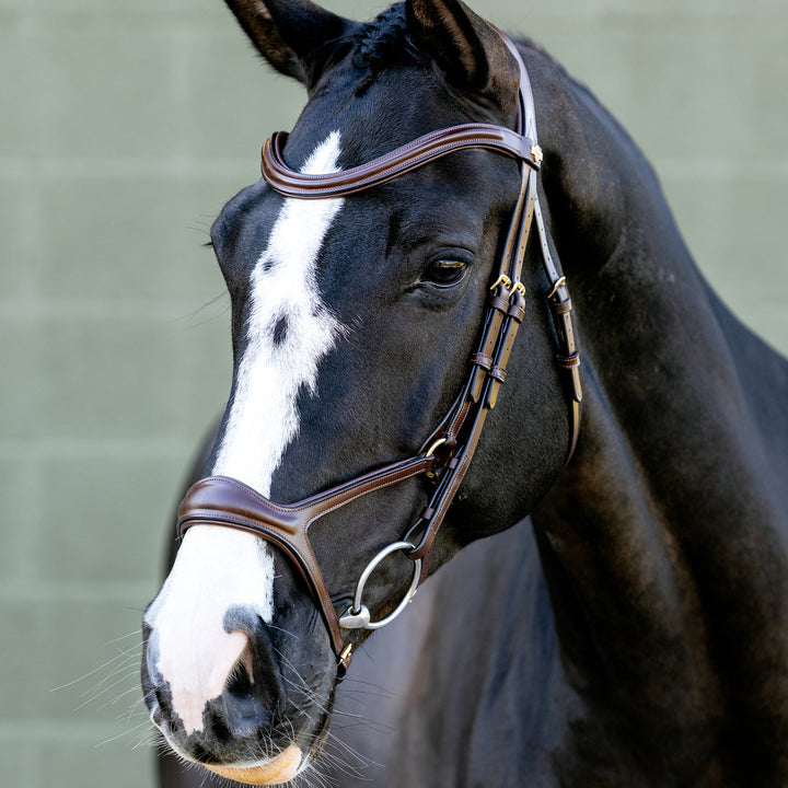 LeMieux Kudos Sport Bridle