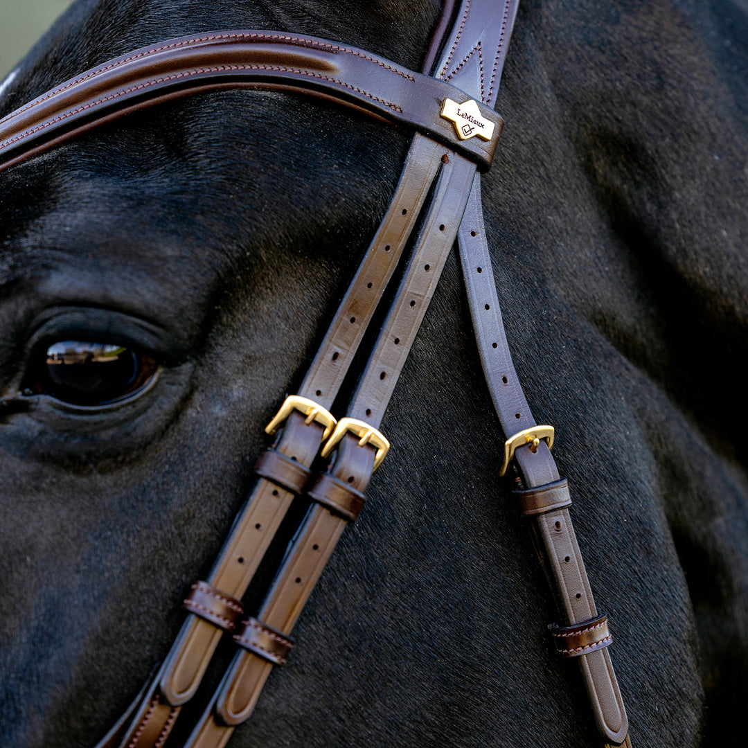 LeMieux Kudos Sport Bridle