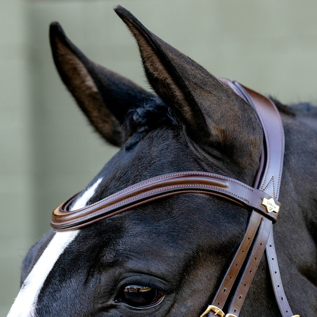 LeMieux Kudos Sport Bridle