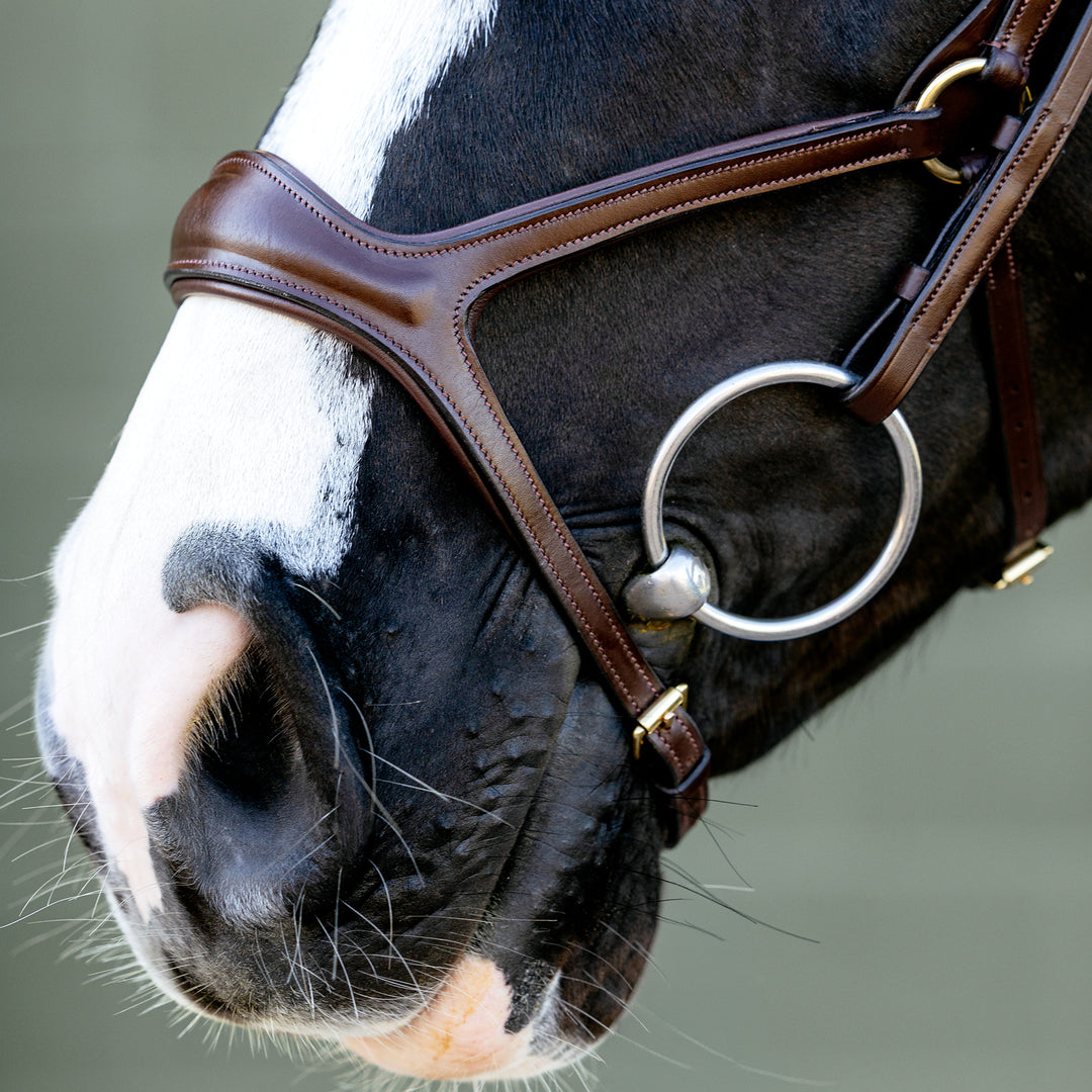 LeMieux Kudos Sport Bridle