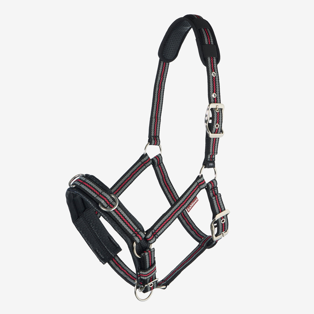 LeMieux Cavesson Lunge Headcollar