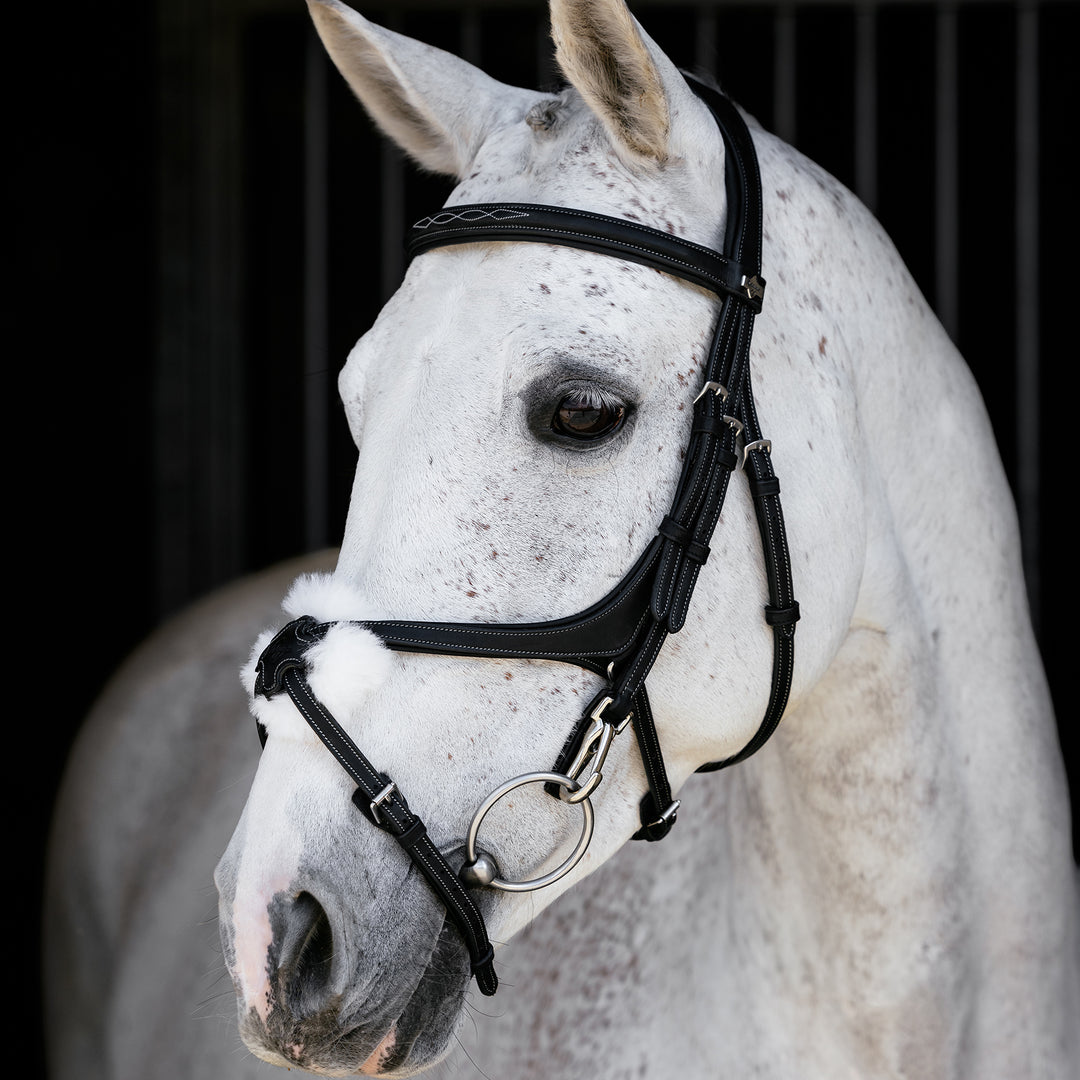 LeMieux Kudos Grackle Work Bridle