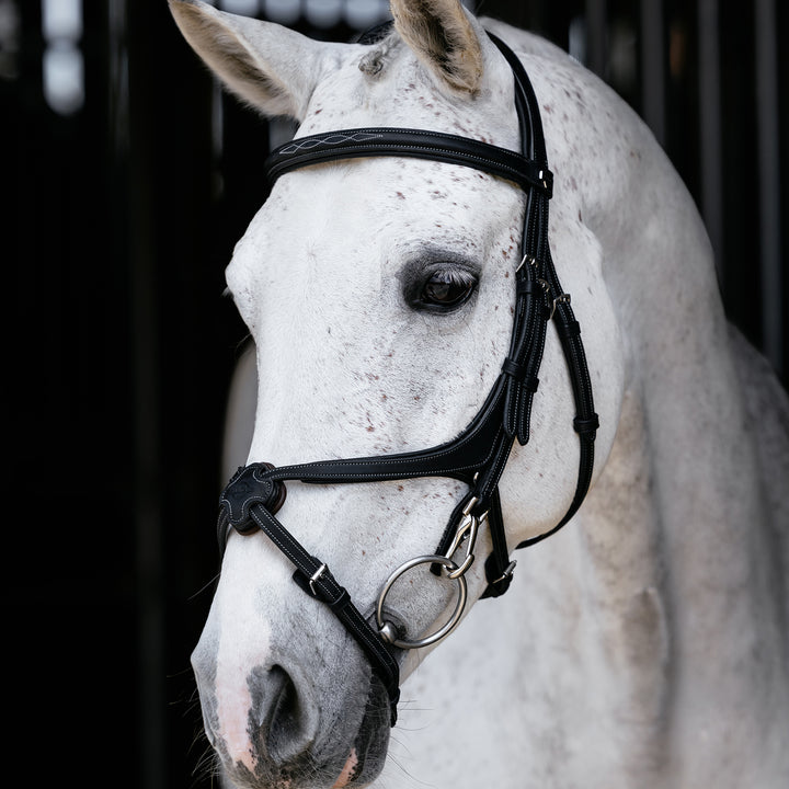 LeMieux Kudos Grackle Work Bridle