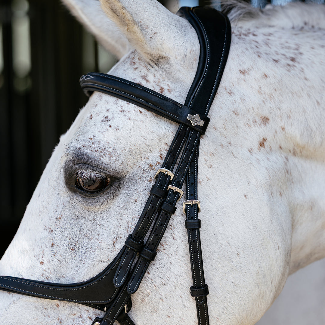 LeMieux Kudos Grackle Work Bridle