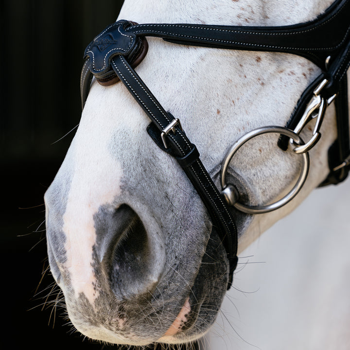 LeMieux Kudos Grackle Work Bridle