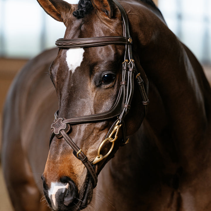LeMieux Kudos Grackle Work Bridle